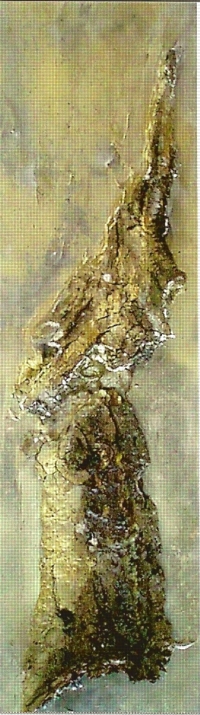 6_evolution2.jpg