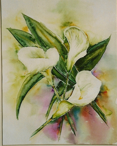 906_calla_2.jpg